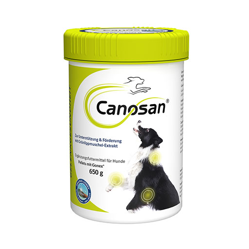 CANOSAN Konzentrat vet.